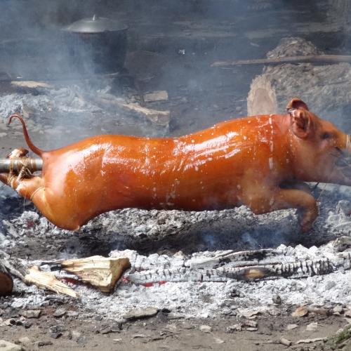 30+ món ngon từ thịt lợn cực ngon – lạ miệng lại dễ làm