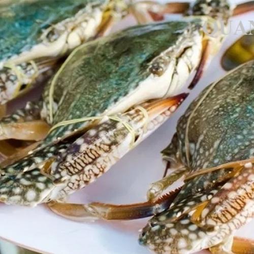 Ghẹ Làm Món Gì Ngon? – TOP  Món Ăn Hấp Dẫn Chế Biến Từ Ghẹ
