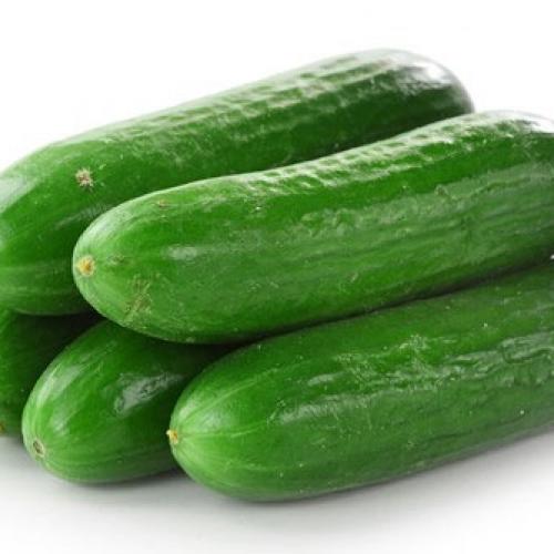 Tác dụng của dưa leo