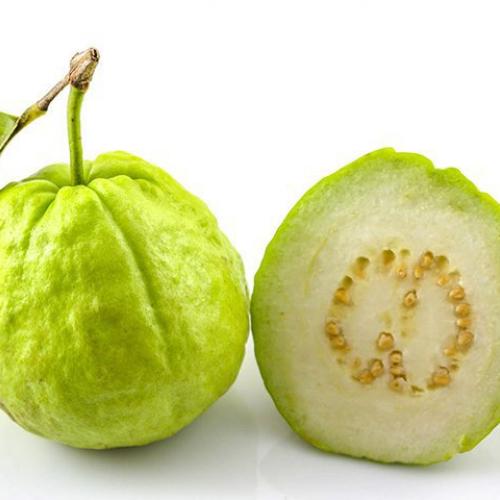 Tác dụng của quả ổi