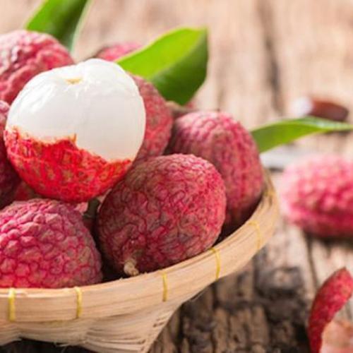Tác dụng của trái Vải