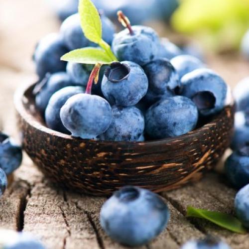 Tác dụng của trái Việt Quất