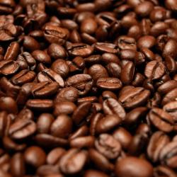 Arabica rang Mộc