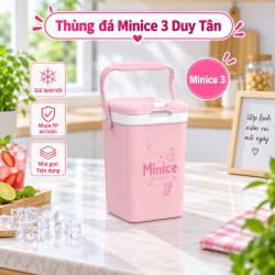 Thùng đá Minice 3 Duy Tân
